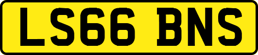 LS66BNS