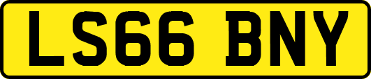 LS66BNY