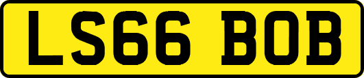 LS66BOB