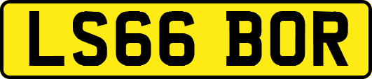 LS66BOR