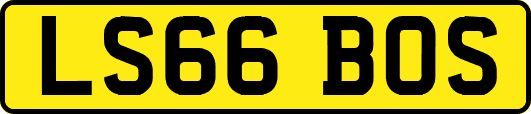 LS66BOS