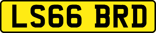 LS66BRD