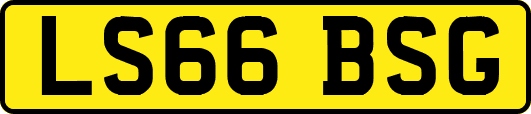 LS66BSG