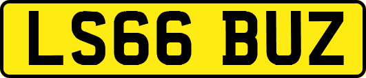 LS66BUZ