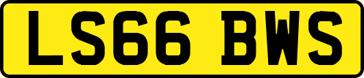 LS66BWS