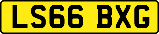 LS66BXG