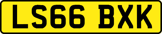 LS66BXK