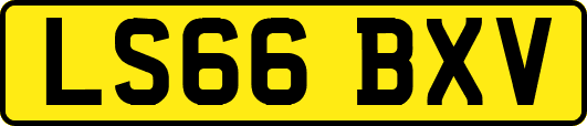 LS66BXV