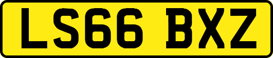 LS66BXZ