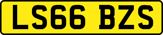 LS66BZS