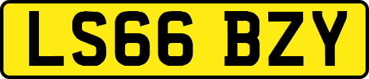 LS66BZY