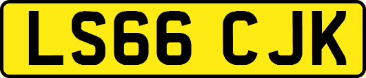 LS66CJK