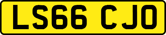 LS66CJO