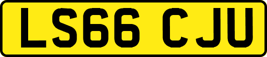 LS66CJU