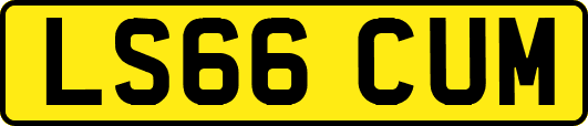 LS66CUM