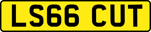 LS66CUT