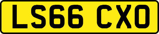 LS66CXO