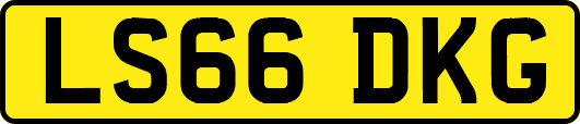 LS66DKG