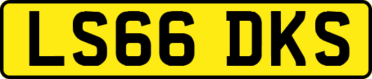 LS66DKS