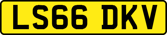 LS66DKV