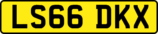 LS66DKX