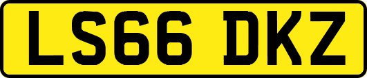 LS66DKZ