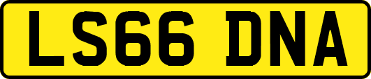 LS66DNA
