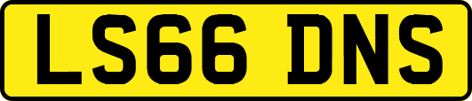 LS66DNS