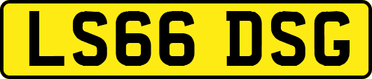 LS66DSG