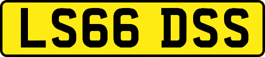 LS66DSS