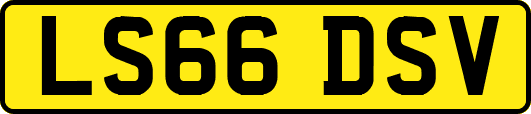 LS66DSV