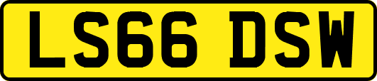 LS66DSW