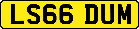 LS66DUM