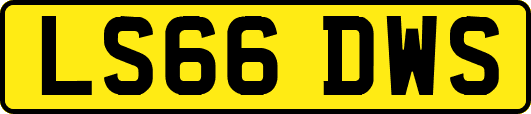 LS66DWS