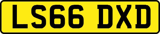 LS66DXD