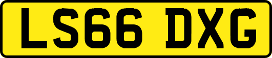 LS66DXG