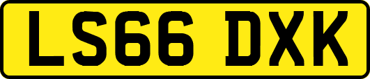 LS66DXK