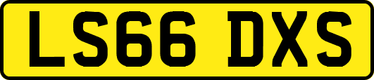 LS66DXS