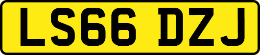 LS66DZJ