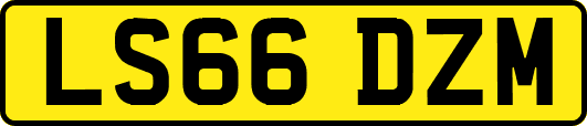 LS66DZM