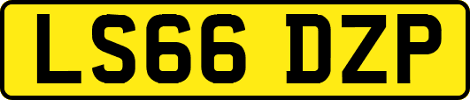 LS66DZP