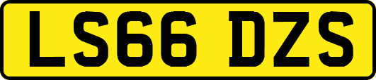 LS66DZS