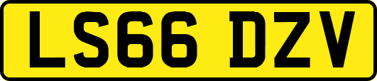 LS66DZV