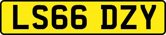 LS66DZY