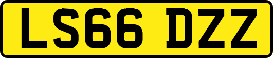 LS66DZZ