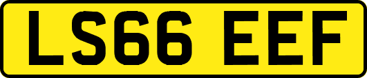 LS66EEF