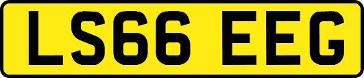 LS66EEG