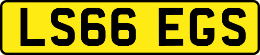 LS66EGS