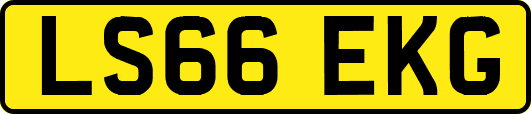 LS66EKG
