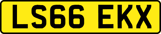 LS66EKX